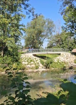 Brv čez Homško Mlinščico